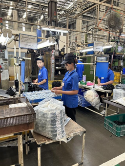 Eadite Parla Co.,Ltd